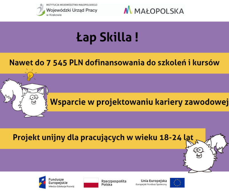 Grafika przedstawia informacje o projekcie Łap Skilla